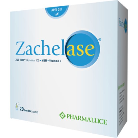 ZACHELASE 20BUST