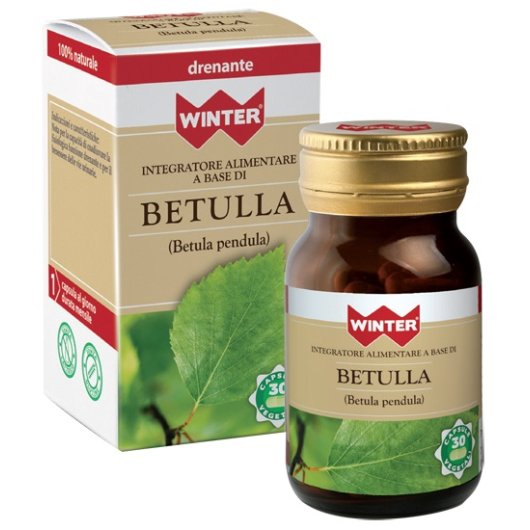 WINTER BETULLA 30CPS VEG