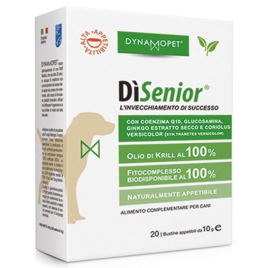 DISENIOR 20BUSTINE 10G