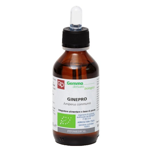 GINEPRO MG BIO 100ML