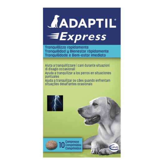 ADAPTIL EXPRESS 10COMPRESSE