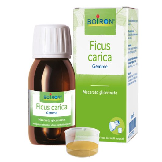 FICUS CARICA MG 60ML INT