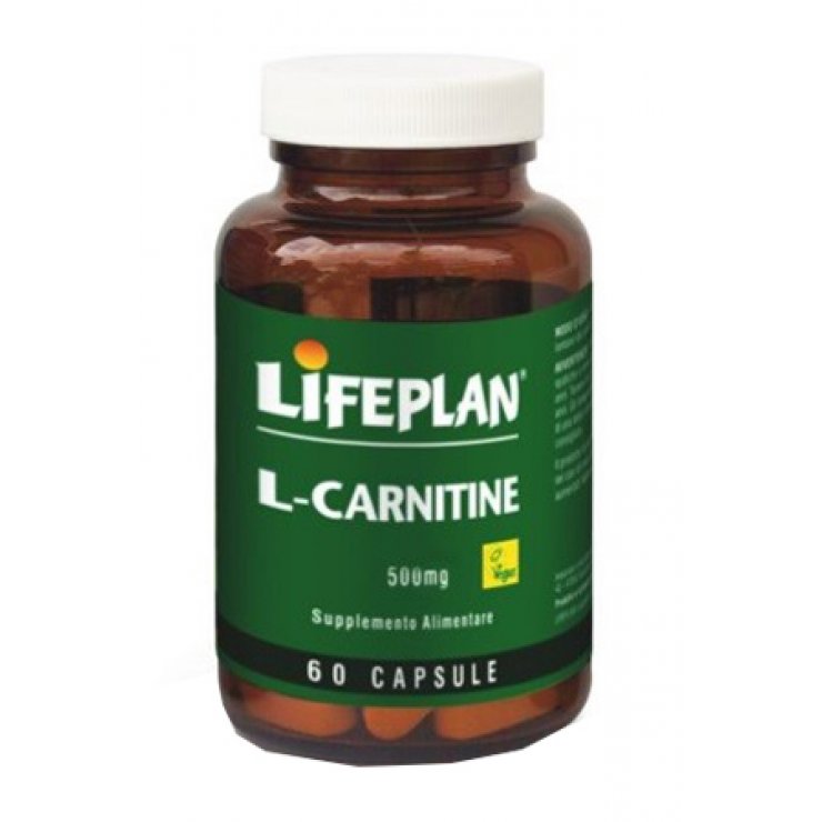 L-CARNITINE 500MG 60CPS