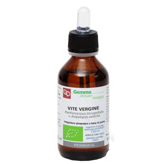 VITE VERGINE MG BIO 100ML