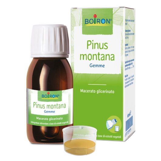 PINUS MONTANA MG 60ML INT