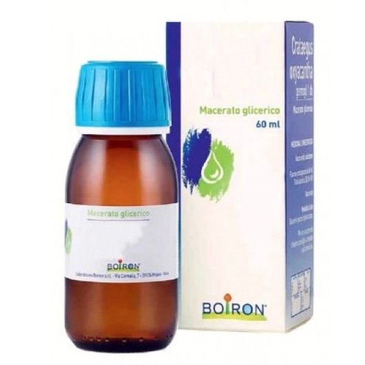 ABIES PECTINATA 60ML MG