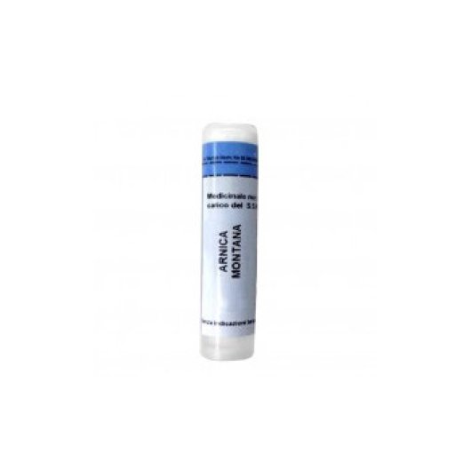 ARNICA MONT 200CH GR 1G  