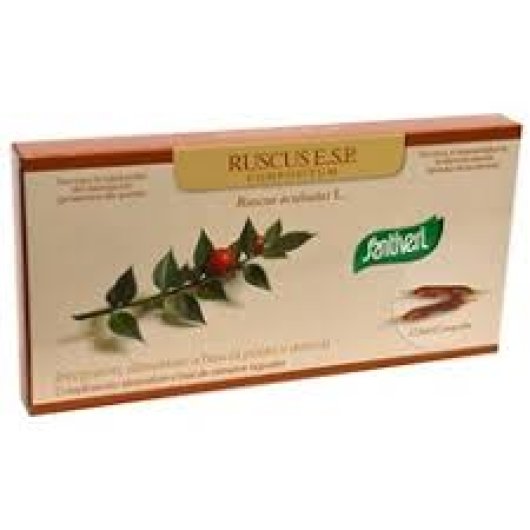 RUSCUS ACUL COMP 12F STV    