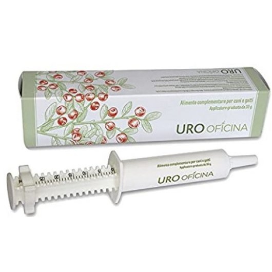 URO OFICINA PASTA 30G       