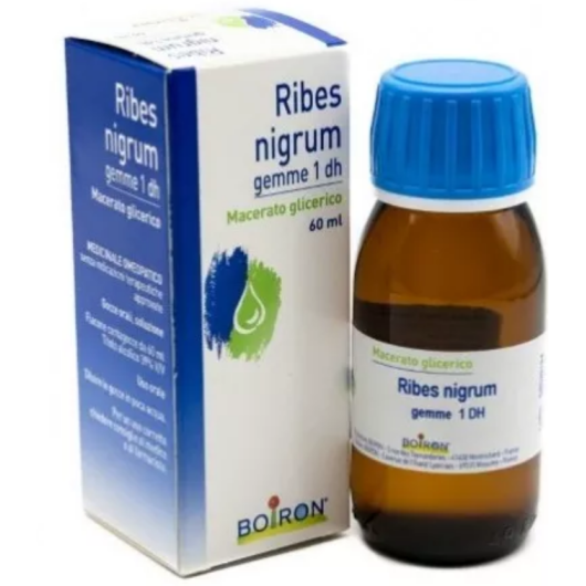 Ribes Nigrum Gemme Macerato Glicerico Boiron 60 ml - Medicinale omeopatico per infiammazioni e allergie