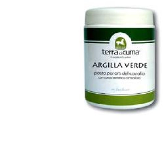 ARGILLA VERDE EQUINI PASTA 1KG ARGILLA VERDE EQUINI PASTA 1KG