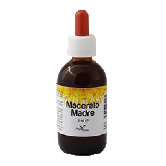 Macerato Madre Liquido 30ml