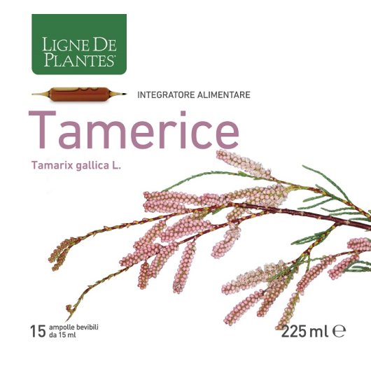 TAMERICE 15AMP 15ML