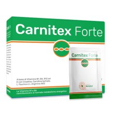 CARNITEX FORTE 20BUST