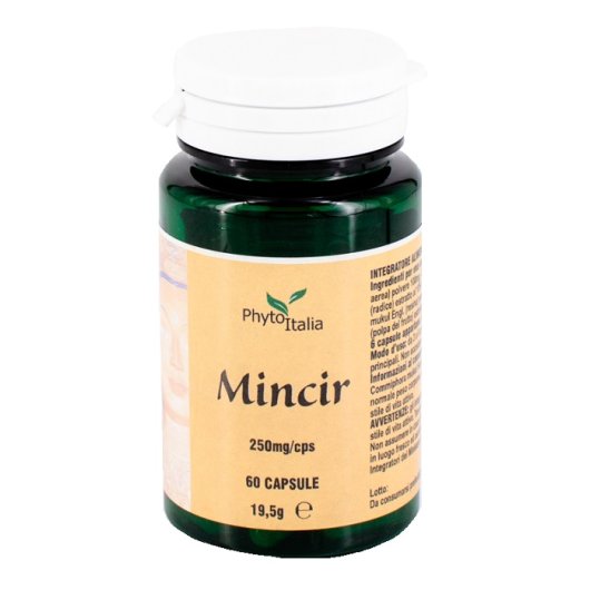 Minceur Ayurved 60cps