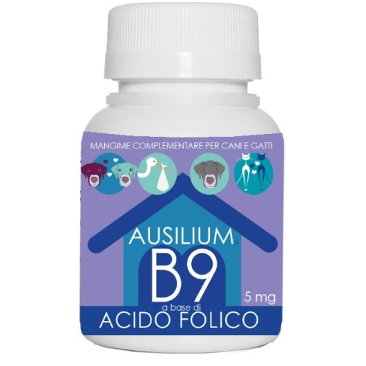 AUSILIUM B9 VET ACIDO FOLICO