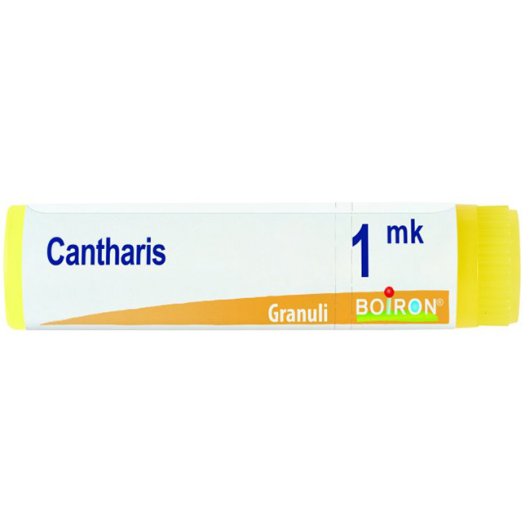 BO.CANTHARIS MK GL