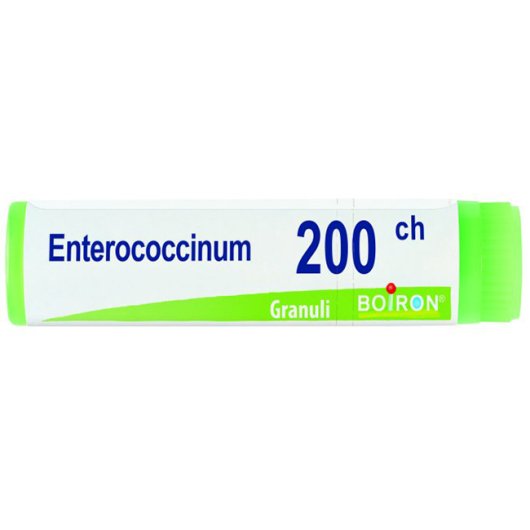 ENTEROCOCCINUM 200CH GL