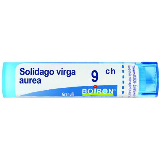 Solidago Virga Aurea 9ch Gr