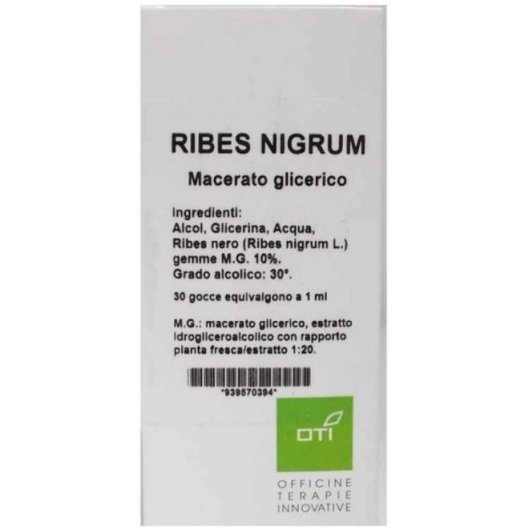 RIBES NIGRUM MG10% GTT100ML