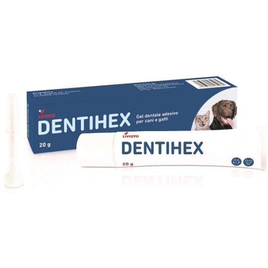 DENTIHEX GEL DENTALE ADESC/G