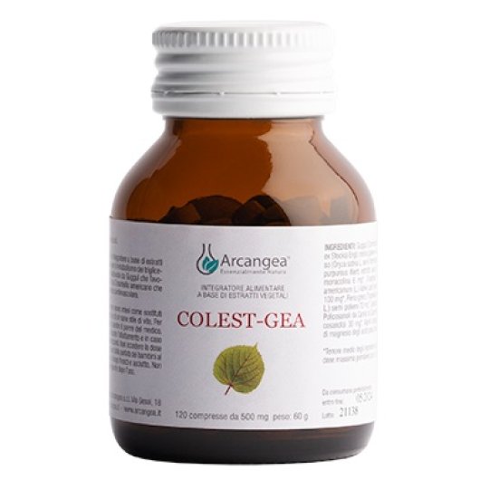 COLEST-GEA C/Q10 120CPR 500MG COLEST-GEA C/Q10 120CPR 500MG