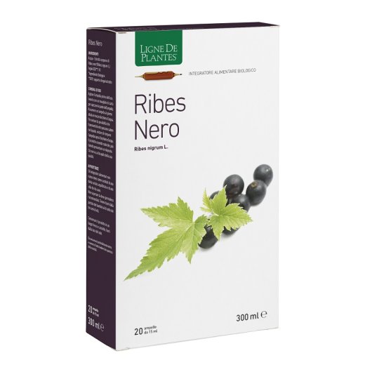 RIBES NERO BIO 20AB 15ML RIBES NERO BIO 20AB 15ML