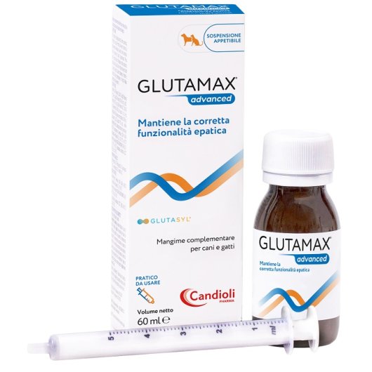 GLUTAMAX ADVANCED SOSPENS 60ML GLUTAMAX ADVANCED SOSPENS 60ML