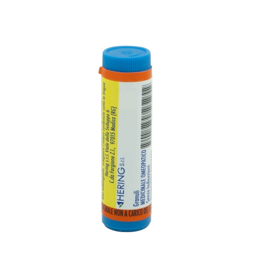 ARNICA MONT*1000CH GR 1G HERING