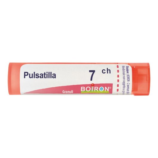 PULSATILLA 7CH 80GR 4G