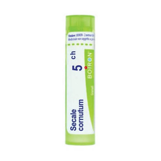 SECALE CORNUTUM 5CH 80GR