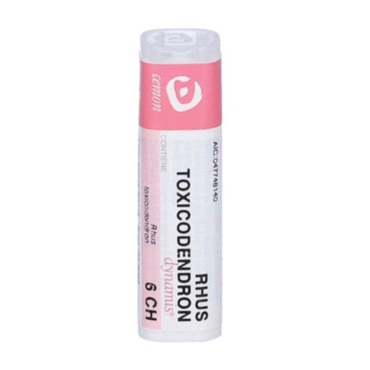 RHUS TOXICODENDRON DYN 5CHGR