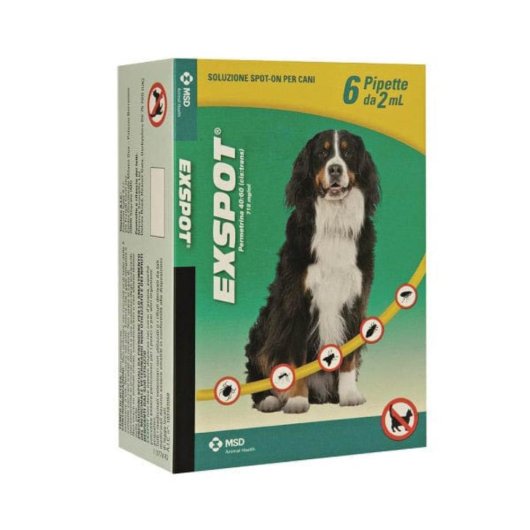 EXSPOT 6PIP 2ML 715MG/ML