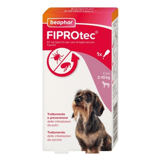 FIPROTEC CANE SMALL 1X67MG FIPROTEC CANE SMALL 1X67MG