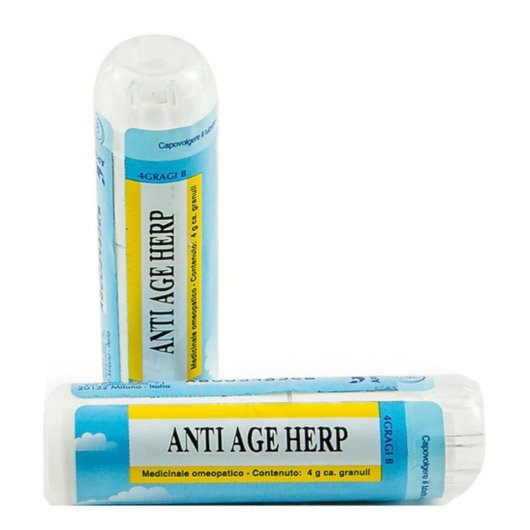 ANTIAGE HERP GR 4G