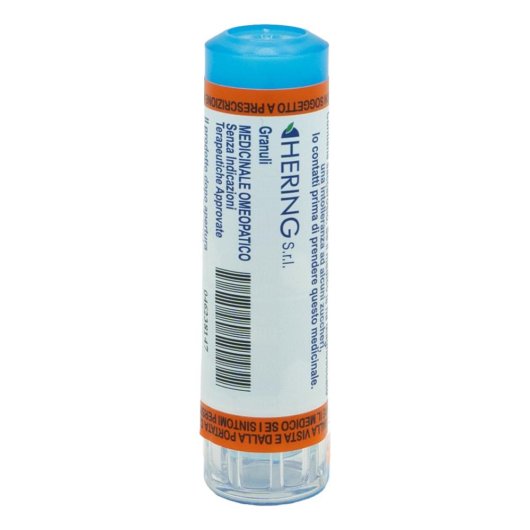 Cantharis Sgl 9ch 4g Gr