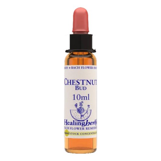 CHESTNUT BUD ESS 10ML INGL HER