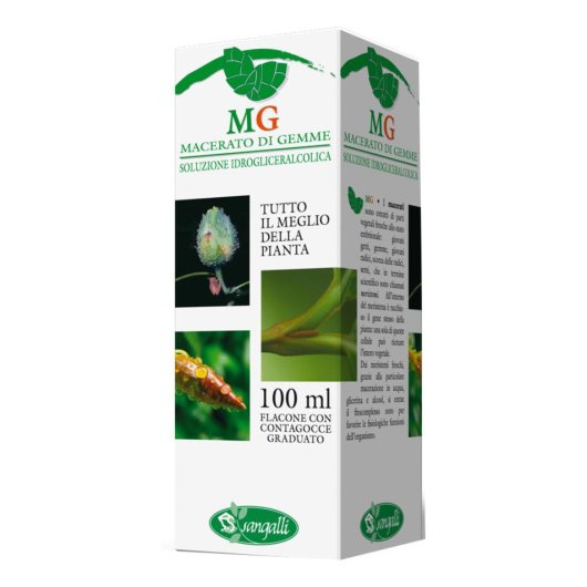 BETULA PUBESCENS 100ML MG