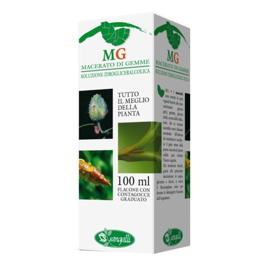 BETULA VERRUCOSA 100ML MG