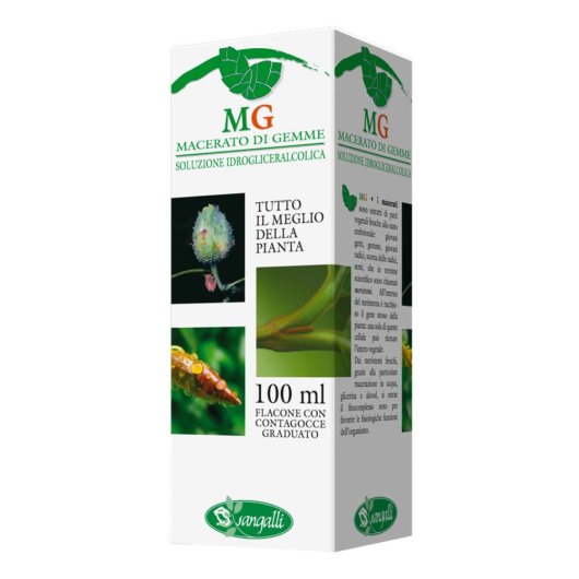 NOCE 100ML MG