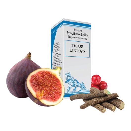 Ficus Lindas Gtt 50ml