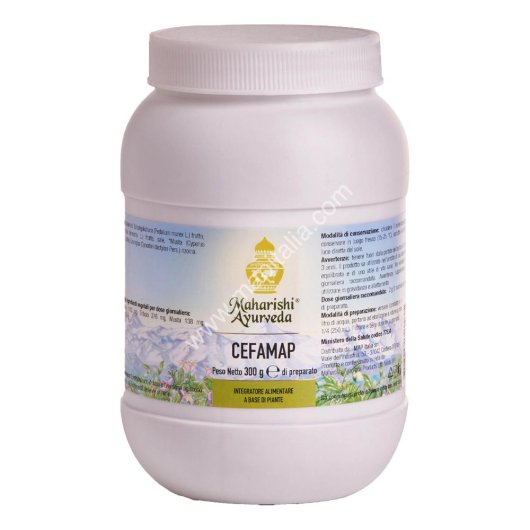 CEFAMAP POLV 300G