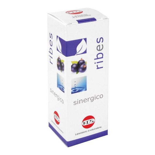 RIBES SINERGICO GTT 100ML KOS