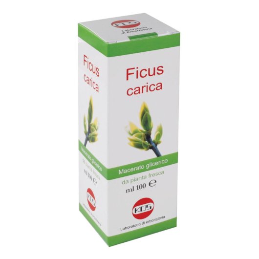 FICUS CARICA MG GTT 100ML KOS