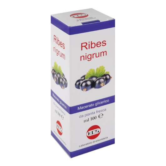 RIBES NIGRUM MG 100ML GTT KOS