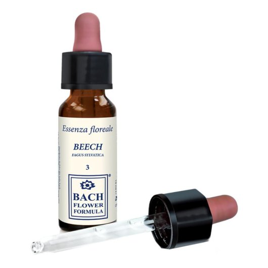 BEECH ORIGINAL 10ML GTT