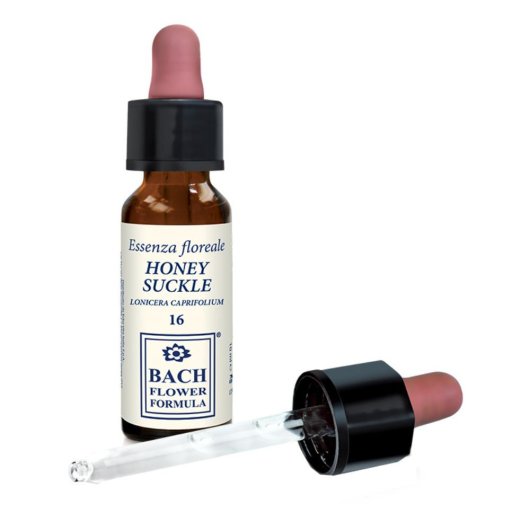 HONEYSUCKLE ORIGINAL 10ML GTT