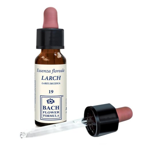 LARCH ORIGINAL 10ML GTT