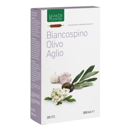 BIANCOSPINO/OLIVO/AGL 20ABX15M