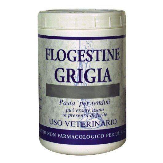 FLOGESTINA GRIGIA PASTA 1KG